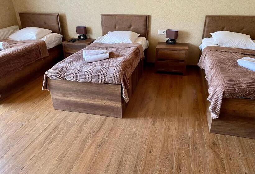 پانسیون Gudauri Hillsite