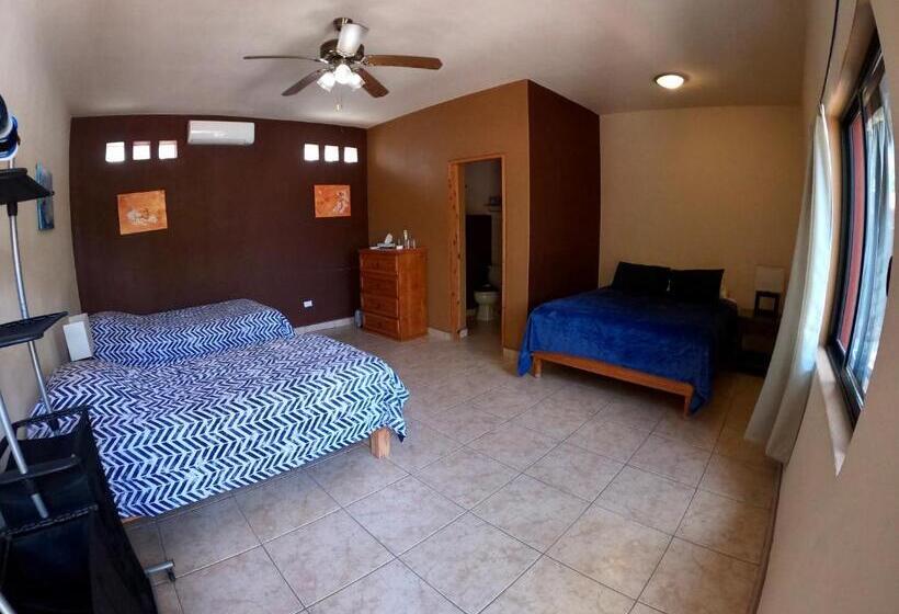 אתר נופש Baja Joe S