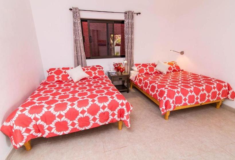 אתר נופש Baja Joe S