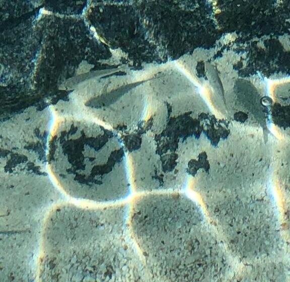 Hotel The Sunset Cove And Rainbow Room