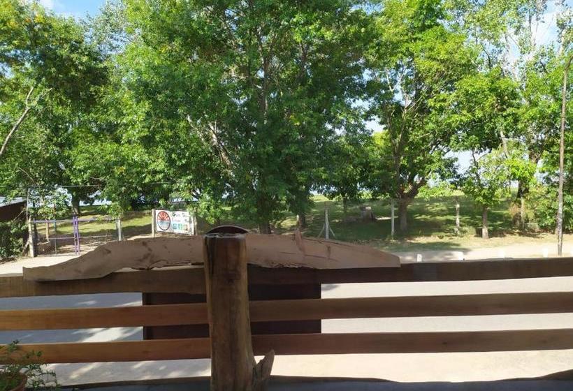 Общежитие Huecubu Public House