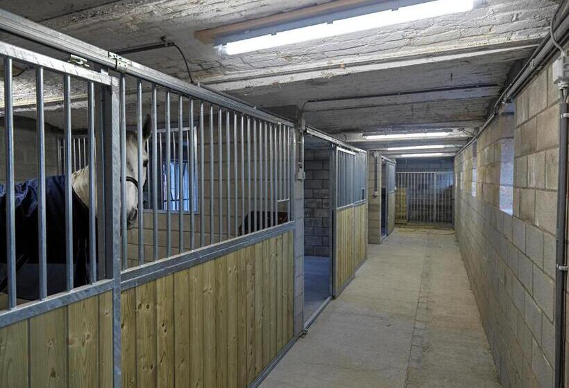 B&b Hoeve De Brieser