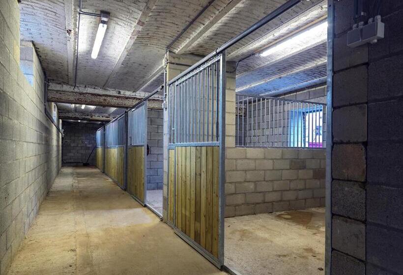 B&b Hoeve De Brieser