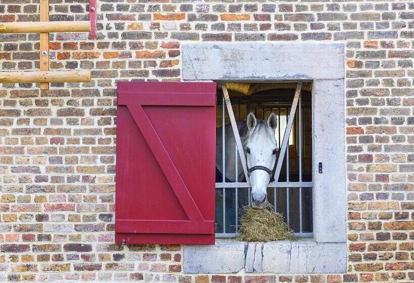 B&b Hoeve De Brieser