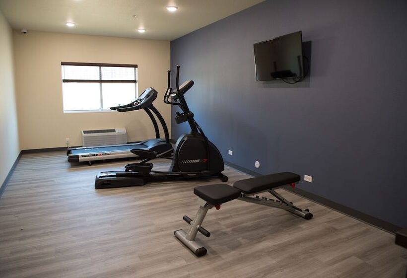 فندق Cobblestone Inn & Suites  Forest City