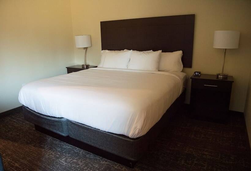 فندق Cobblestone Inn & Suites  Forest City