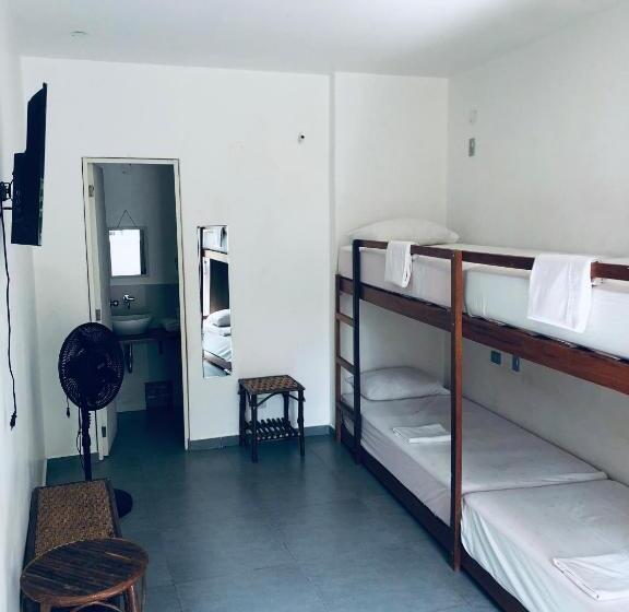 בית מלון כפרי Qamaq