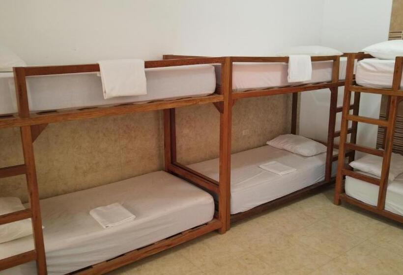 בית מלון כפרי Qamaq