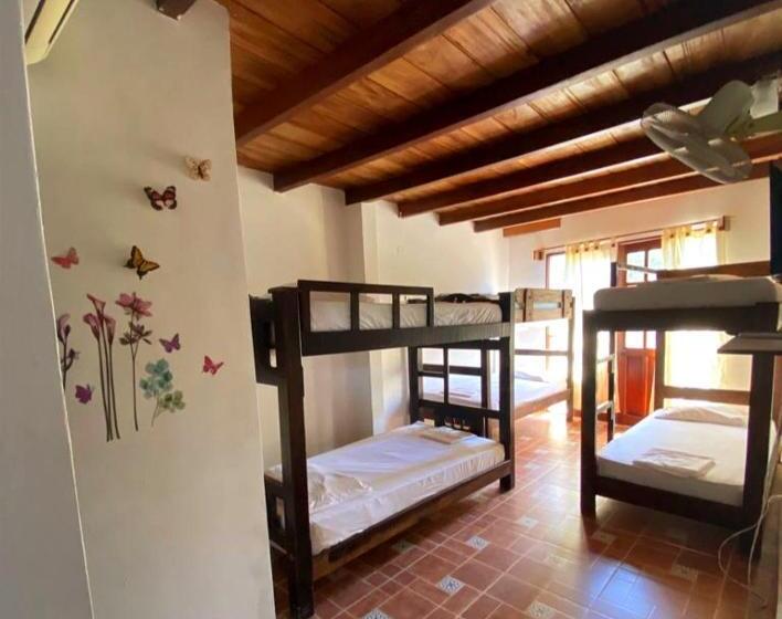 Пансион Kayena Hostel