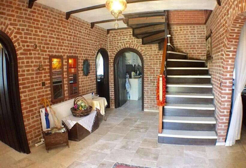 Пансион Tas Konak