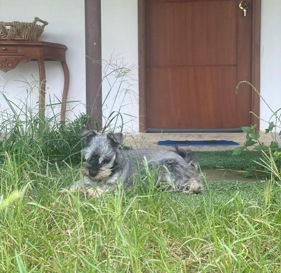 San Juan De Los Guayabos