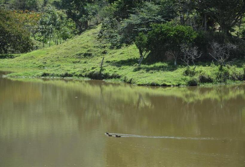 San Juan De Los Guayabos