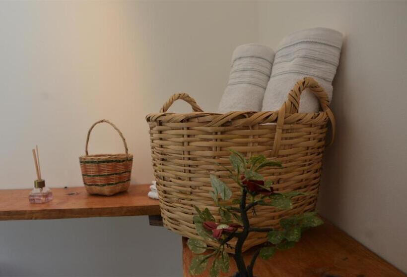 San Juan De Los Guayabos