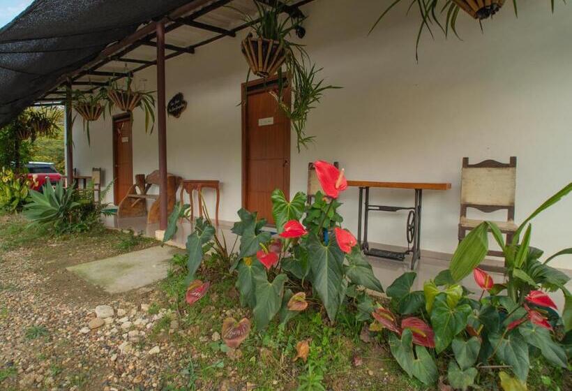 San Juan De Los Guayabos