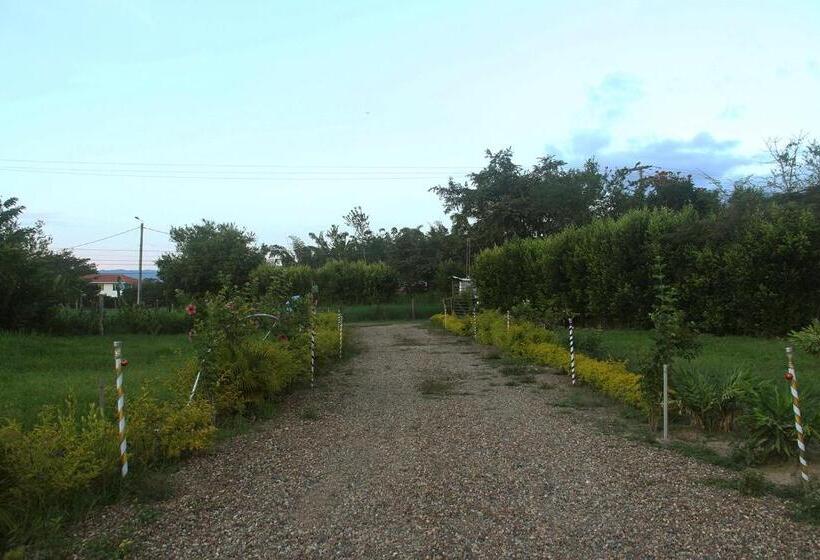 San Juan De Los Guayabos