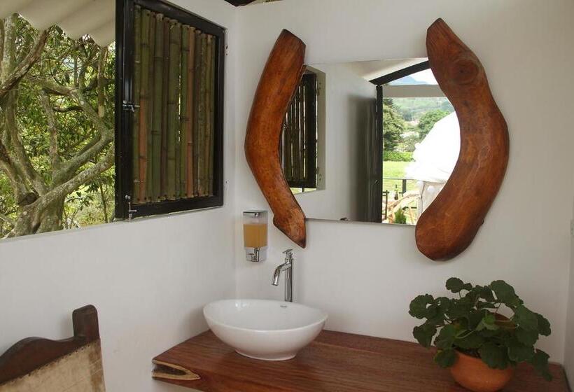 San Juan De Los Guayabos