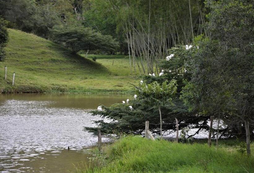San Juan De Los Guayabos