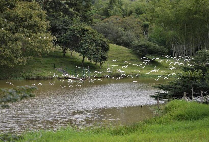 San Juan De Los Guayabos