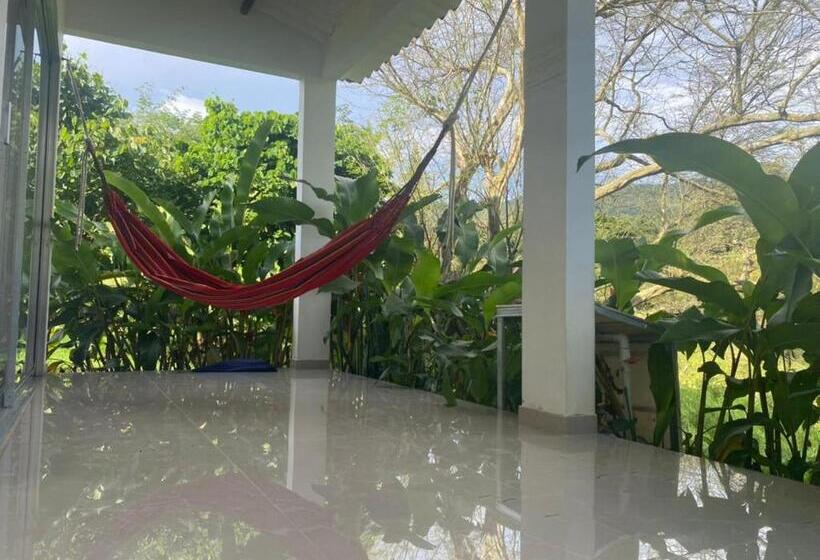 San Juan De Los Guayabos