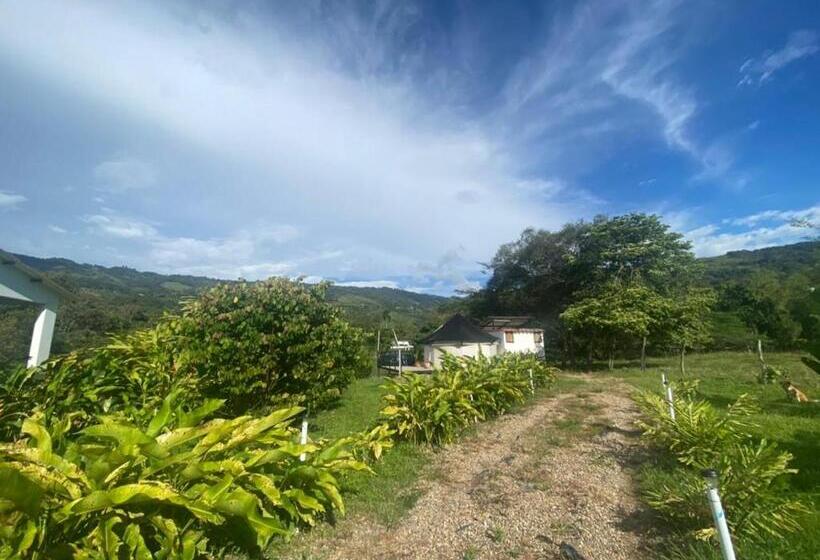 San Juan De Los Guayabos