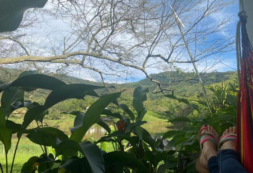 San Juan De Los Guayabos