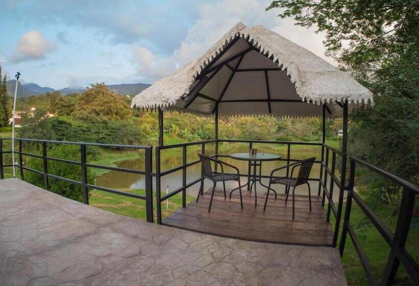 San Juan De Los Guayabos