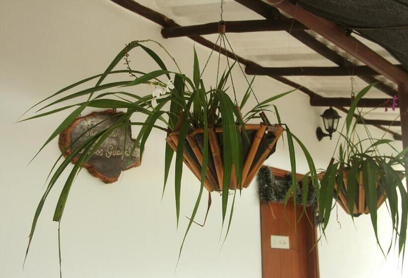 San Juan De Los Guayabos