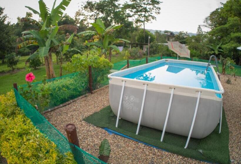 San Juan De Los Guayabos