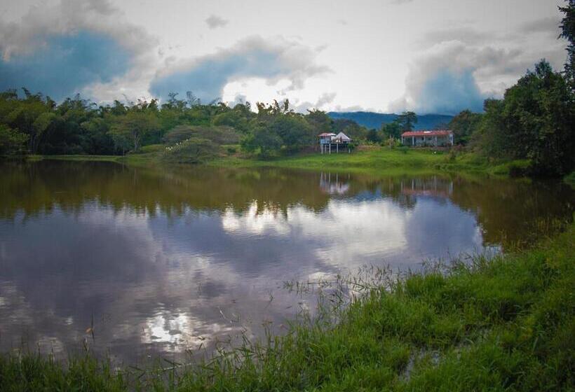 San Juan De Los Guayabos