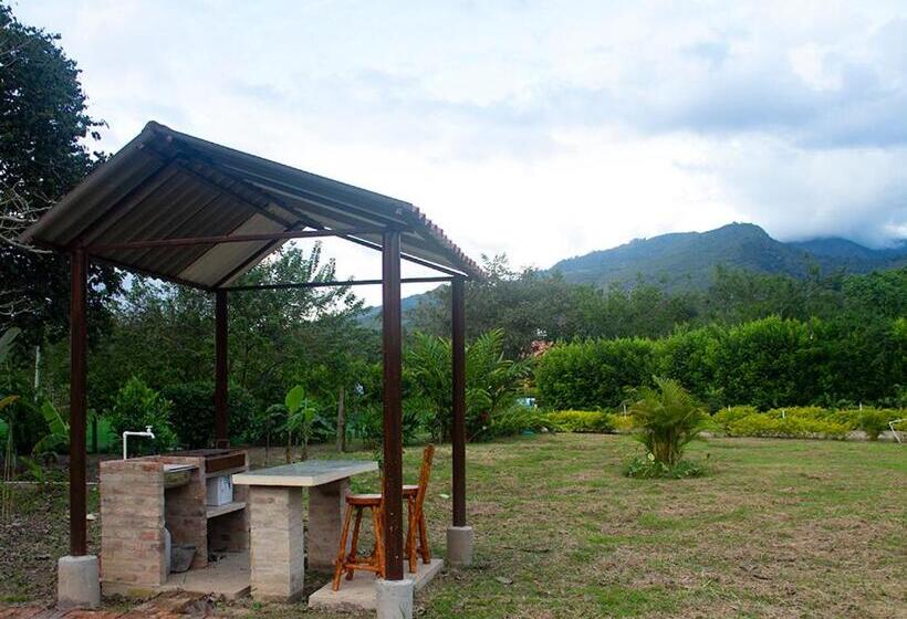 San Juan De Los Guayabos