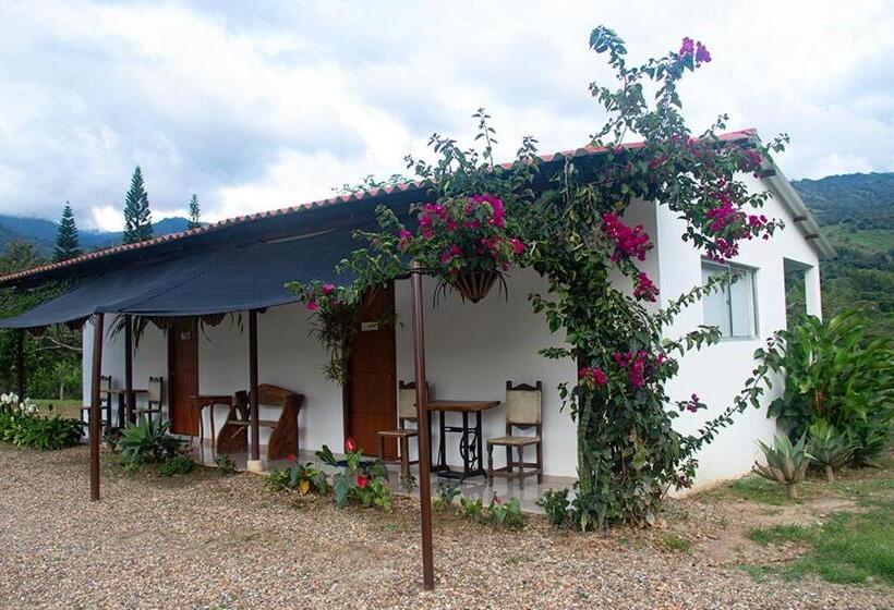 San Juan De Los Guayabos