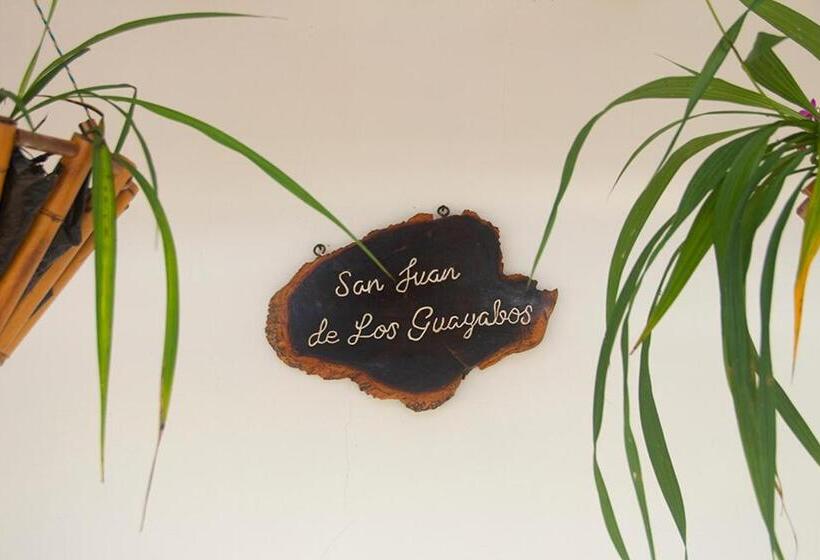 San Juan De Los Guayabos