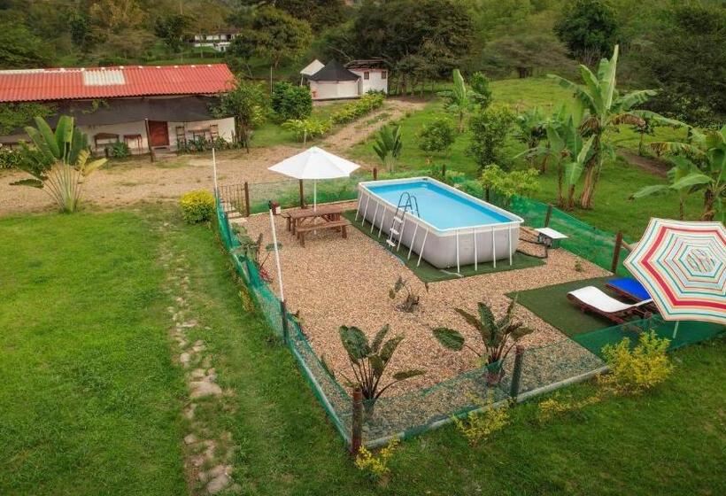 San Juan De Los Guayabos