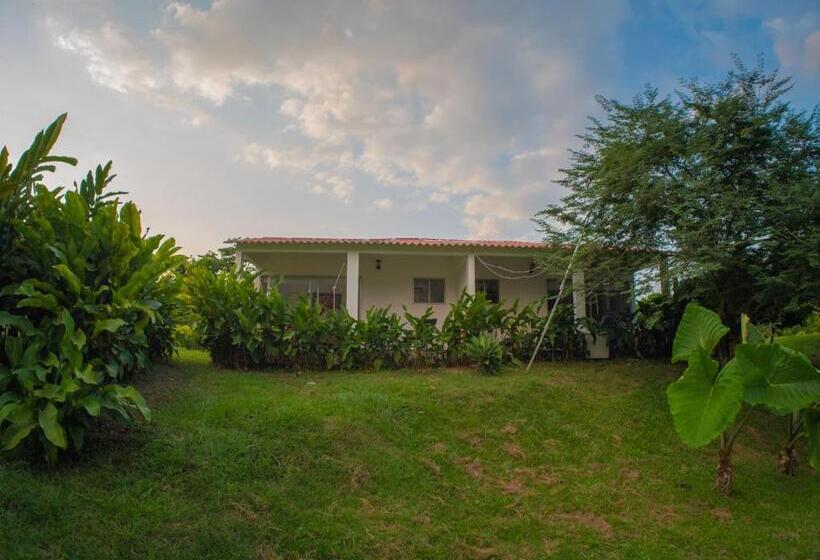 San Juan De Los Guayabos