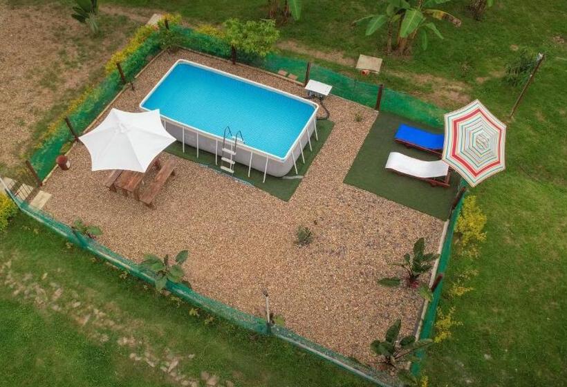 San Juan De Los Guayabos