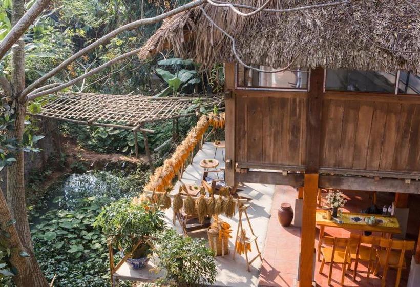 هاستل Cọ Home