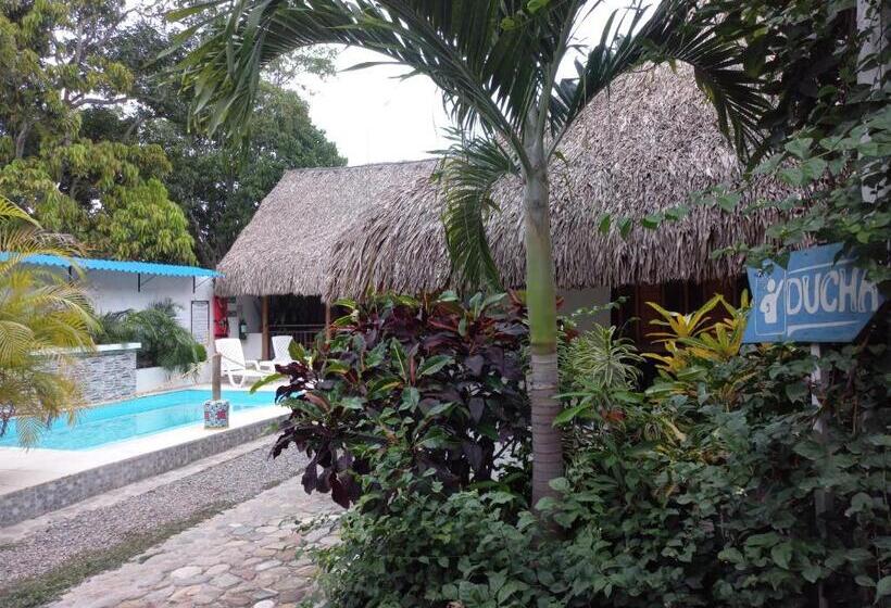 酒店 El Leon Feliz Palomino