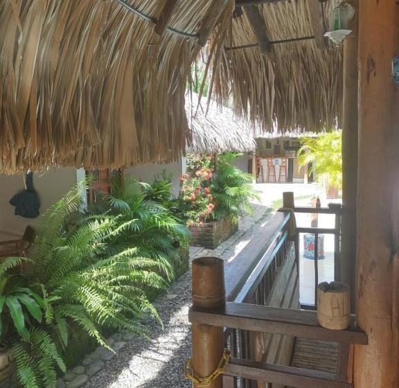 酒店 El Leon Feliz Palomino