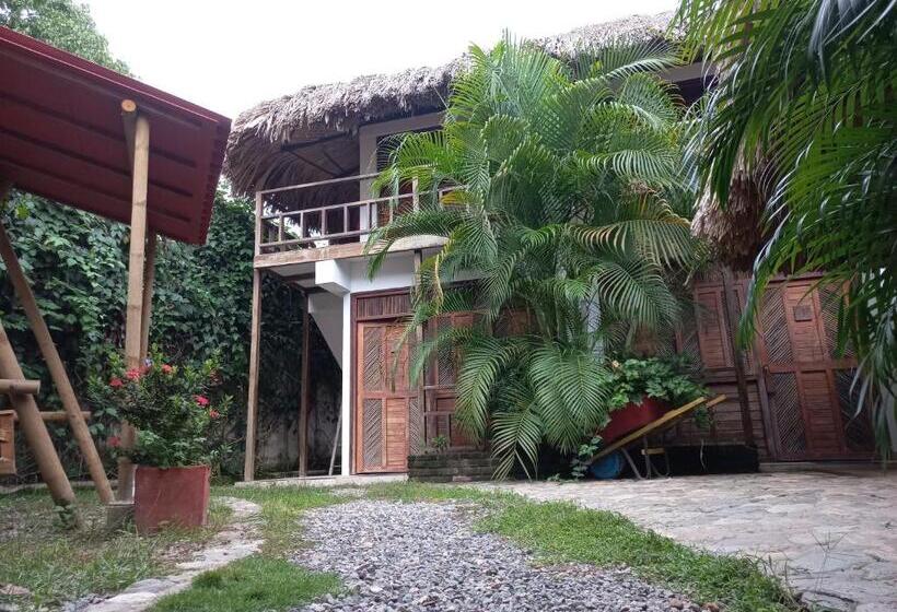 هتل El Leon Feliz Palomino