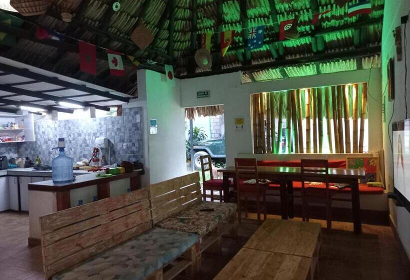 酒店 El Leon Feliz Palomino