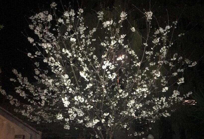 Отель Hébergements à La Rive, Accueil Ouvert Tous Les Jours Jusqu à 20h00 Dernier Délai, Depuis 30 Ans ! R