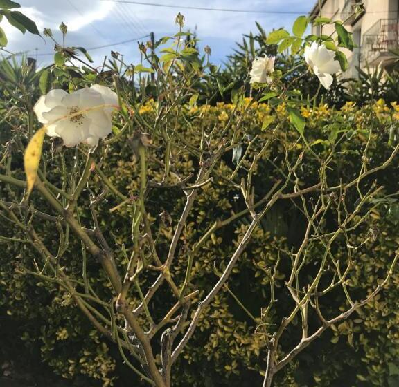 Отель Hébergements à La Rive, Accueil Ouvert Tous Les Jours Jusqu à 20h00 Dernier Délai, Depuis 30 Ans ! R