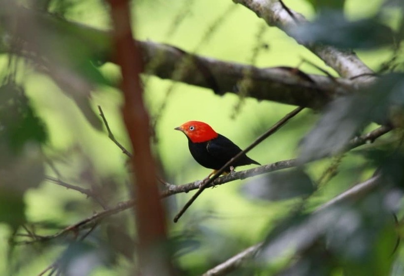 فندق Black Rock Lodge