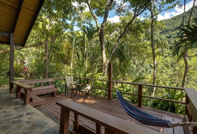 فندق Black Rock Lodge