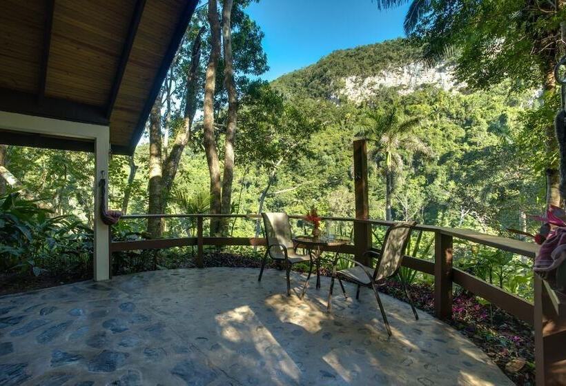 فندق Black Rock Lodge