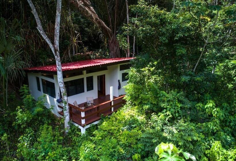 فندق Black Rock Lodge