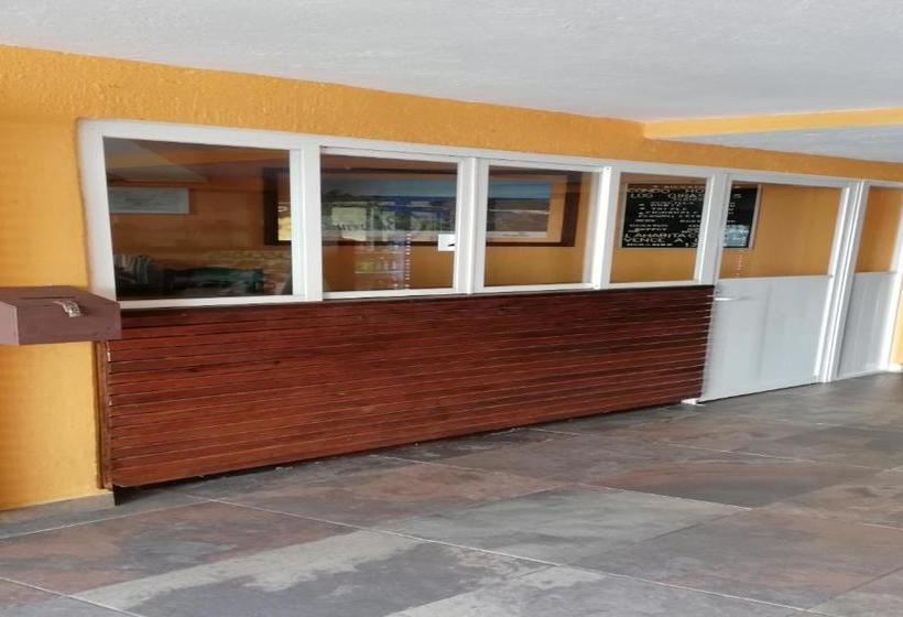 酒店 Condo  Los Girasoles