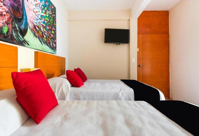 Отель Rojo Manglar