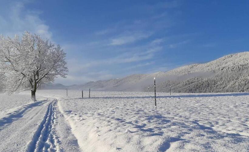 Отель Hôtel Restaurant Les Tilleuls