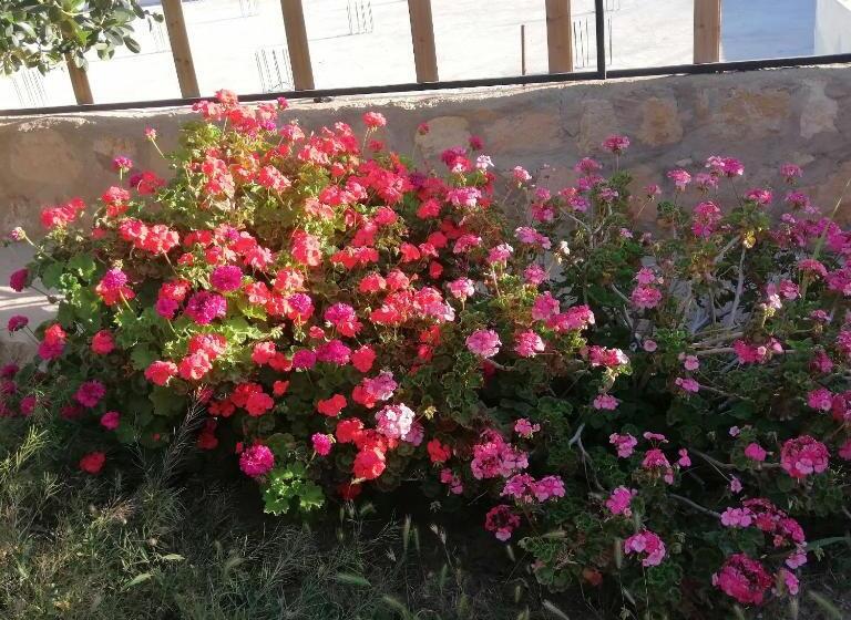 هتل Infinity Lodge